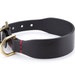 see more listings in the Dog Collars & Leashes section