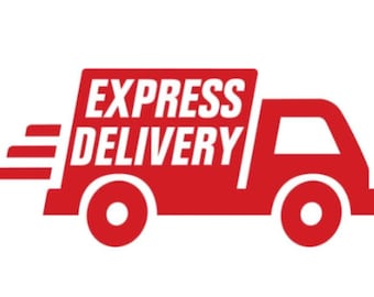 Express delivery. DHL, Fedex, TNT.