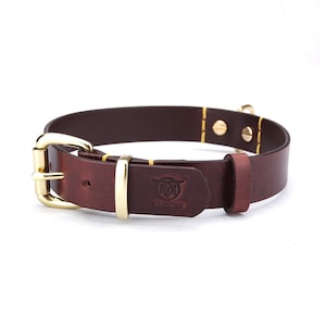 Handcrafted Italian Leather Dog Collar: Engraved Brass Hardware
