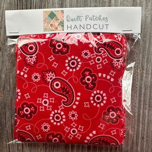 May include: A package of red fabric quilt patches with a paisley pattern in black and white. The package is sealed in clear plastic and has a white label that reads "Quilt Patches HANDCUT". The fabric is folded neatly.