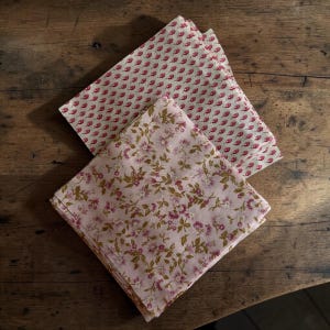 Può includere: Due tovaglioli di stoffa piegati. Un tovagliolo ha un motivo ripetuto di piccole forme a goccia rosse su sfondo crema. L'altro ha un motivo floreale con fiori rosa e foglie verdi su sfondo rosa chiaro.