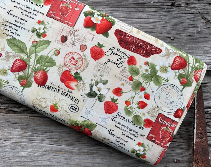 FABRIC Quilting Sewing Supplies Cotton TIMELESS TREASURES Fabrics ...