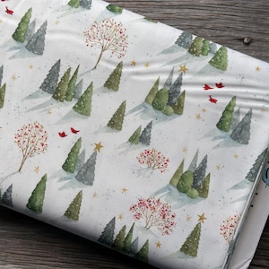 FABRIC MAGICAL WINTERLAND by Lisa Audit from Riley Blake Designs Quilt and Apparel