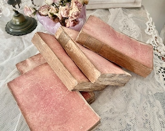 RARE  200 year old PINK French Old Paris C1820&#39;s faded  books set of two library salvage French history original copies