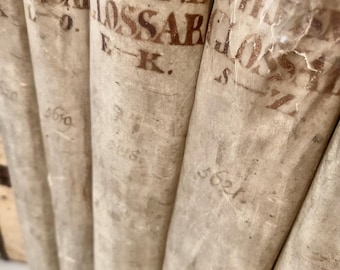 May include: A close-up of a stack of antique books with aged, off-white covers. The spines display faded brown lettering, including the title "FRESNE GLOSSAR". Numbers are visible on the lower portion of the spines. The books have a vintage, weathered appearance.