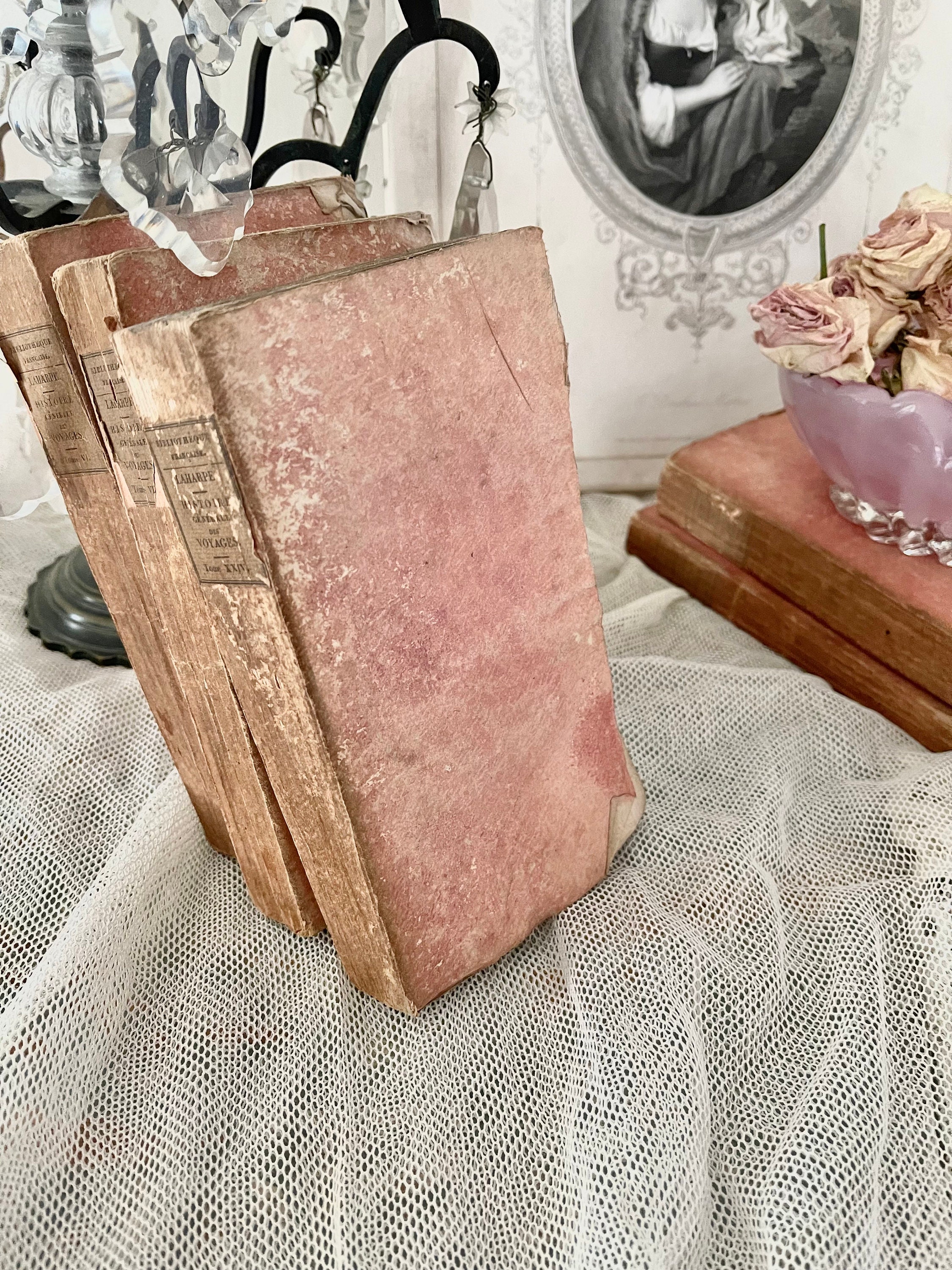 RARE 200 Year Old PINK French Old Paris C1820's Faded Books Set of