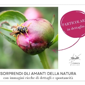 calendario murale stampabile A4, PDF digital download, personalizzabile calendario 2024 fai da te, calendario amanti natura foto di fiori
