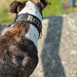 Tactial dog collar personalized with name in camouflage with Cobra buckle from AustriAlpin 5 cm wide padded with softshell image 4