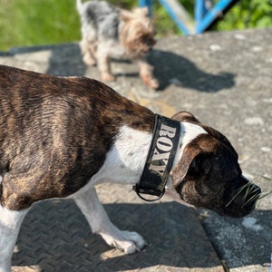 Tactial dog collar personalized with name in camouflage with Cobra buckle from AustriAlpin 5 cm wide padded with softshell image 5