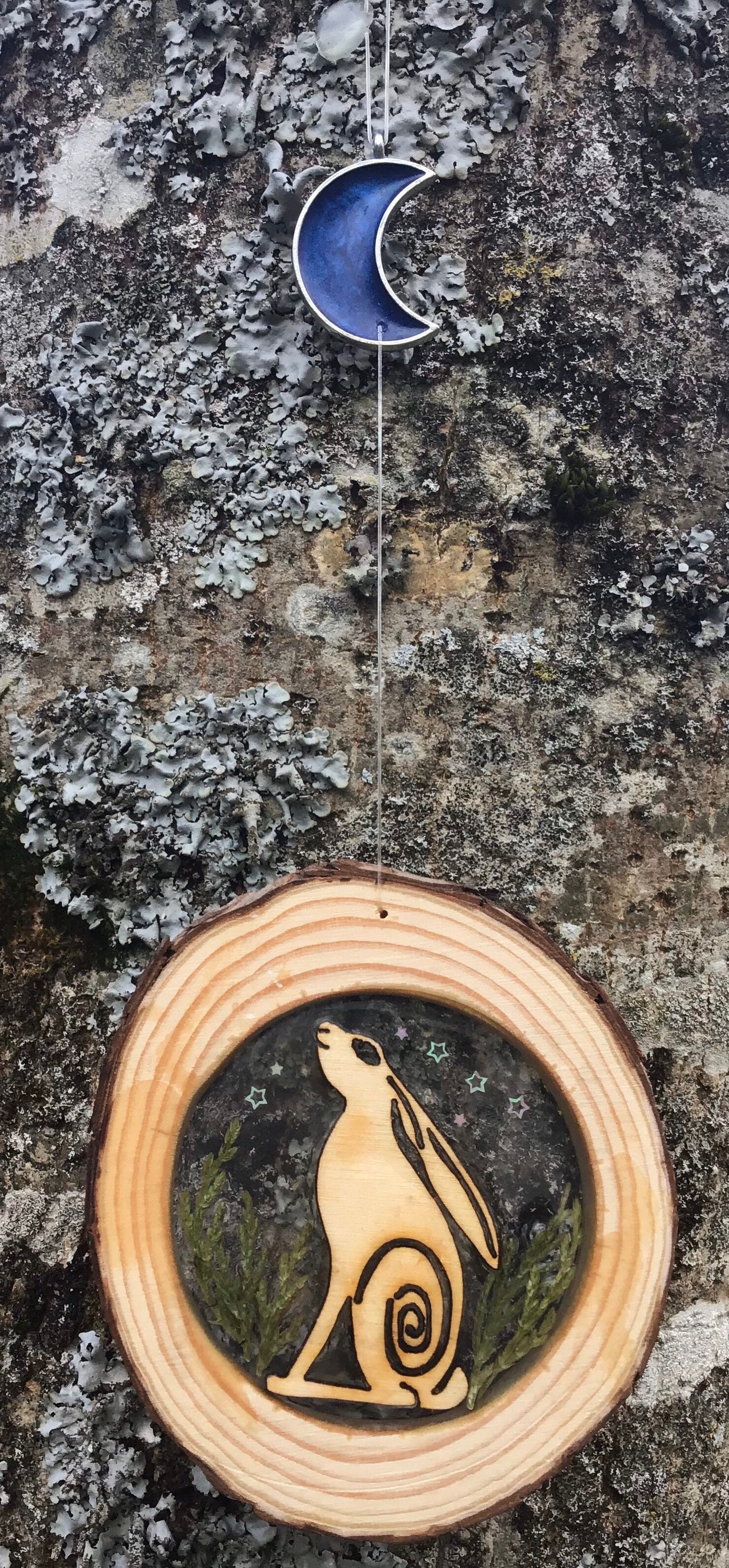 Lièvre Regardant La Lune, Mur ou Fenêtre Suspendu