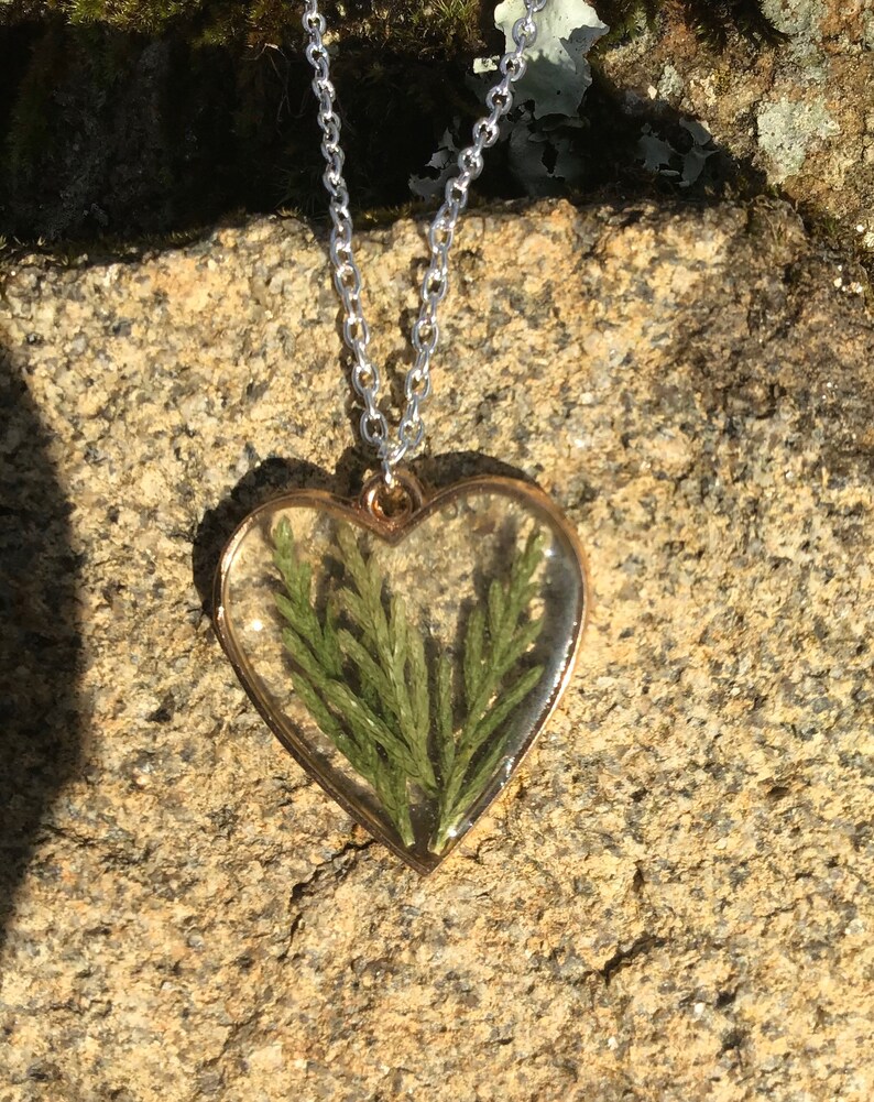 The heart of Leylandii