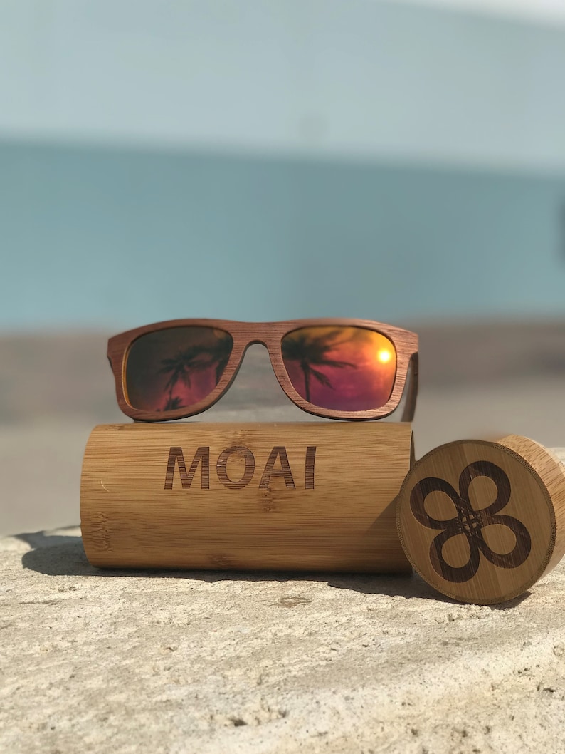 visionary sunglasses