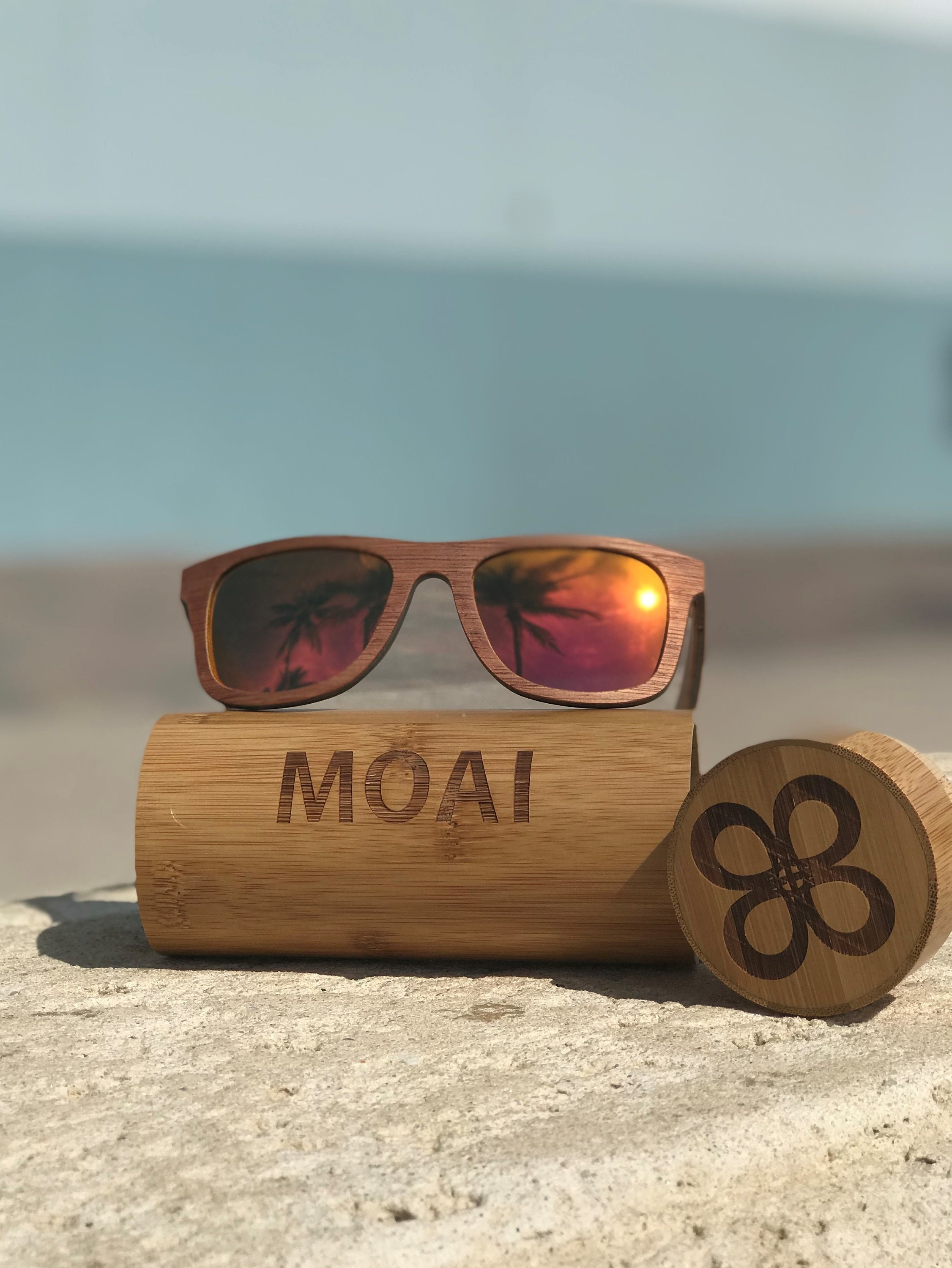 visionaries clip on sunglasses