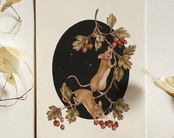 Mouse On Hawthorn Art Print,Woodland Animal Print,Cute Mouse Illustration, Mouse Wall Art, Wildlife Art Print, Botanical Illustration