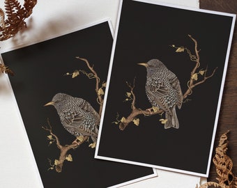 Starling Print,Black Bird Art,British Birds Print,European Starling Wall Art,Nature Art Print,Natural History,Birds Print,Wildlife Print