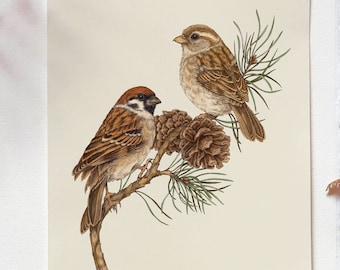 Sparrow Art Print, Bird Art Print, Sparrow Illustration, Wildlife Art, Nature Art Print, Bird Poster, Bird Wall Art, Garden Birds Art