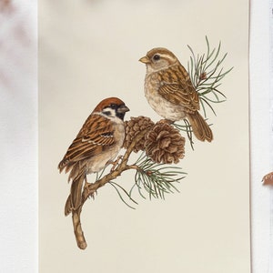 Sparrow Art Print, Bird Art Print, Sparrow Illustration, Wildlife Art, Nature Art Print, Bird Poster, Bird Wall Art, Garden Birds Art