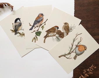 Bird Print Set Of 4,Garden Bird Print Set,Mini Bird Art Print,5x7 Print,A6 Print,Bird Poster,Mini Wall Art Set,Bird Art Card,Nature Card Set