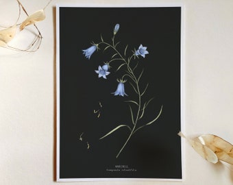 Bluebell Flower Botanical Print Illustration, Black Botanical Print, Minimalist Flower Print, Wildflower Botanical Wall Art, Flower Art