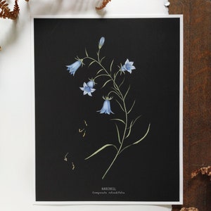 Bluebell Flower Giclée Print 8&quot; x 10&quot;, Plant Poster, Minimalist Flower Print, Wildflower Botanical Wall Art, SECONDS SALE