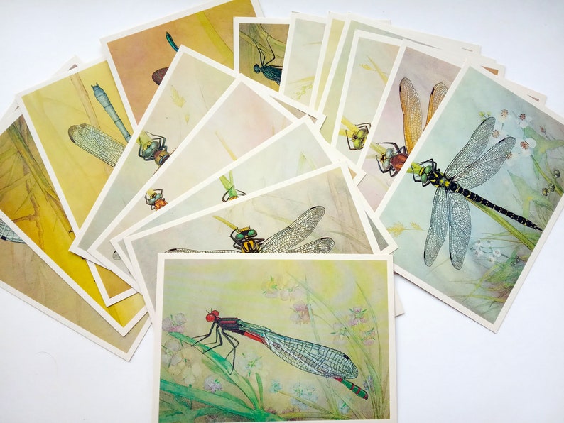 Set 16 pieces of color cards Dragonflies Junk Journal Cards USSR