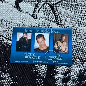 Vintage 90s Ricky Martin Livin la Vida Loca Winterland Photocards Sealed Pack