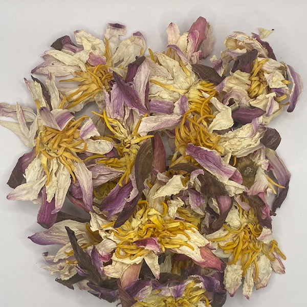 100% Organic Dried WHITE LOTUS Flower Nymphaea Ampla Ceylon Natural Herbal Tea