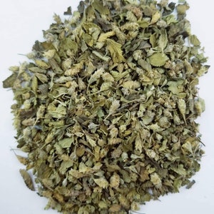 Mexican Oregano | 100% Pure Mexican Oregano