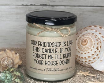 Funny Friendship Candle Gift: I'll Burn Your House Down