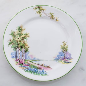 Aynsley "Bluebell Time" Side Plate