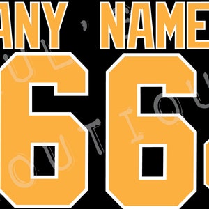 Pittsburgh Penguins Customized Number Kit For 2008 Winter Classic Jersey –  Customize Sports