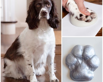 DIY pet paw casting kit, dog paw print, memorial paw casting kit, dog keepsake, pet paw prints kit, paw mold cast kit, cat paw kit