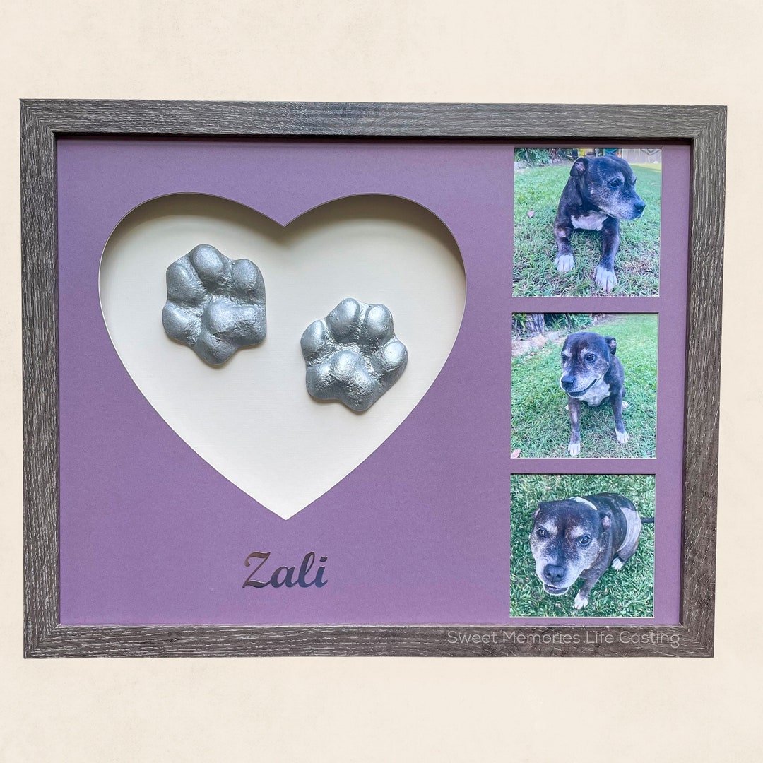 Pet Casting Paw Cast Paw Print DIY Casting Kit Keepsake for Dog Pet