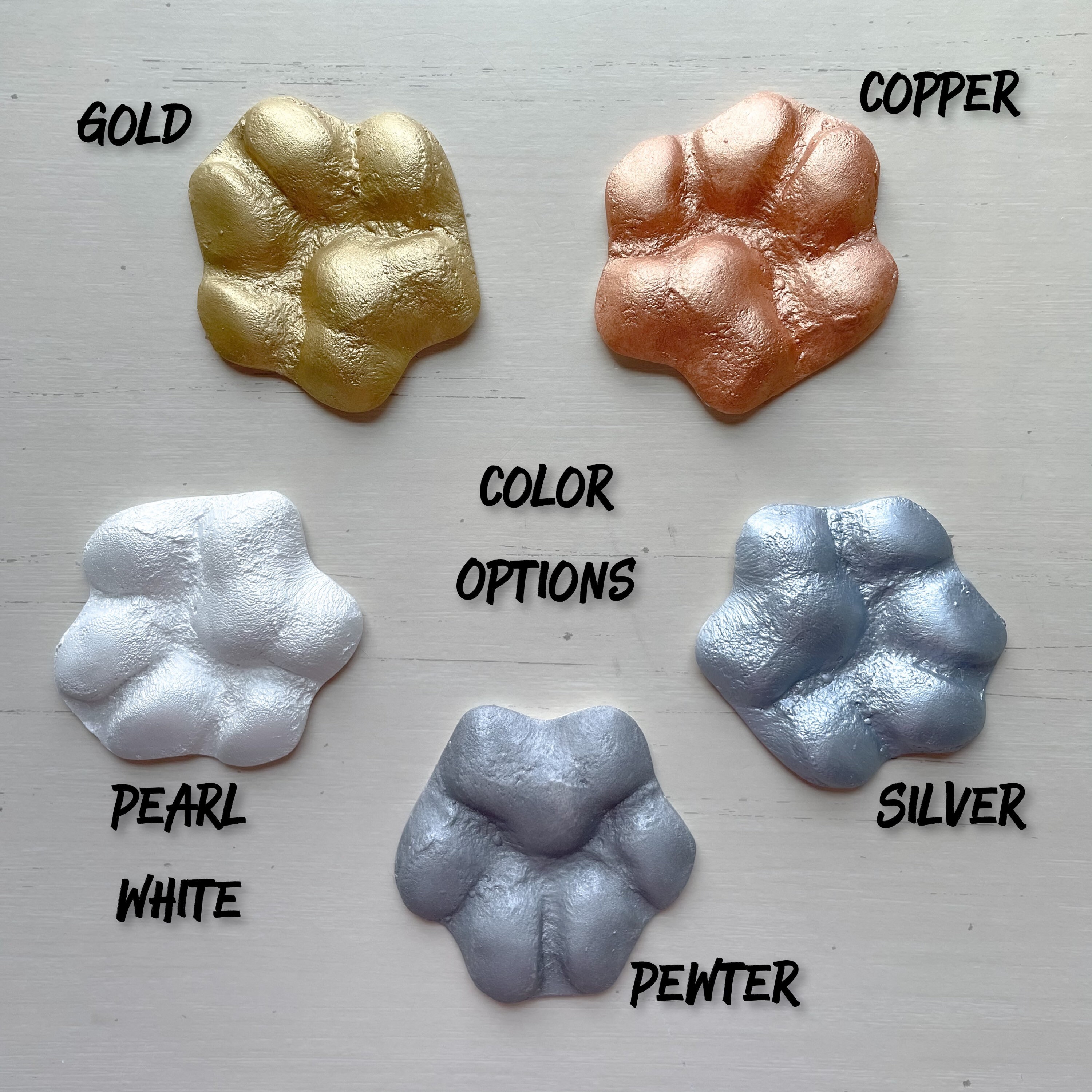 Pet casting paw cast paw print DIY casting kit Etsy