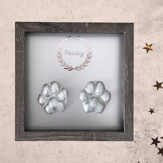 Pawprint Keepsake Kit Paw Print Outil Dornement De Noël Pour Chiens Et  Chats - Accessoires Animaux - Temu France