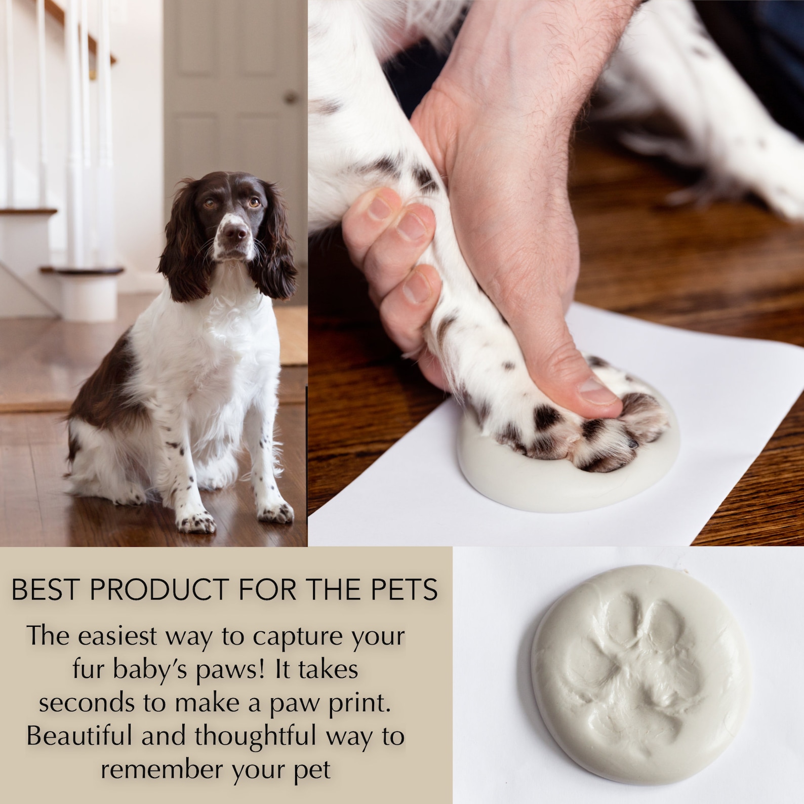 DIY Pet Paw Casting Kit Dog Paw Print Memorial Paw Casting Etsy