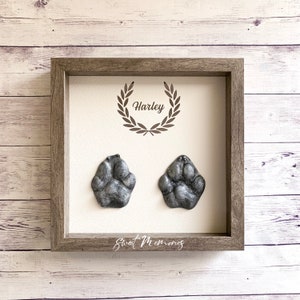 Moldes para mascotas - Moldes para huellas de patas - Kit de moldes para hacer uno mismo - Recuerdo para perro - Moldes para la vida real