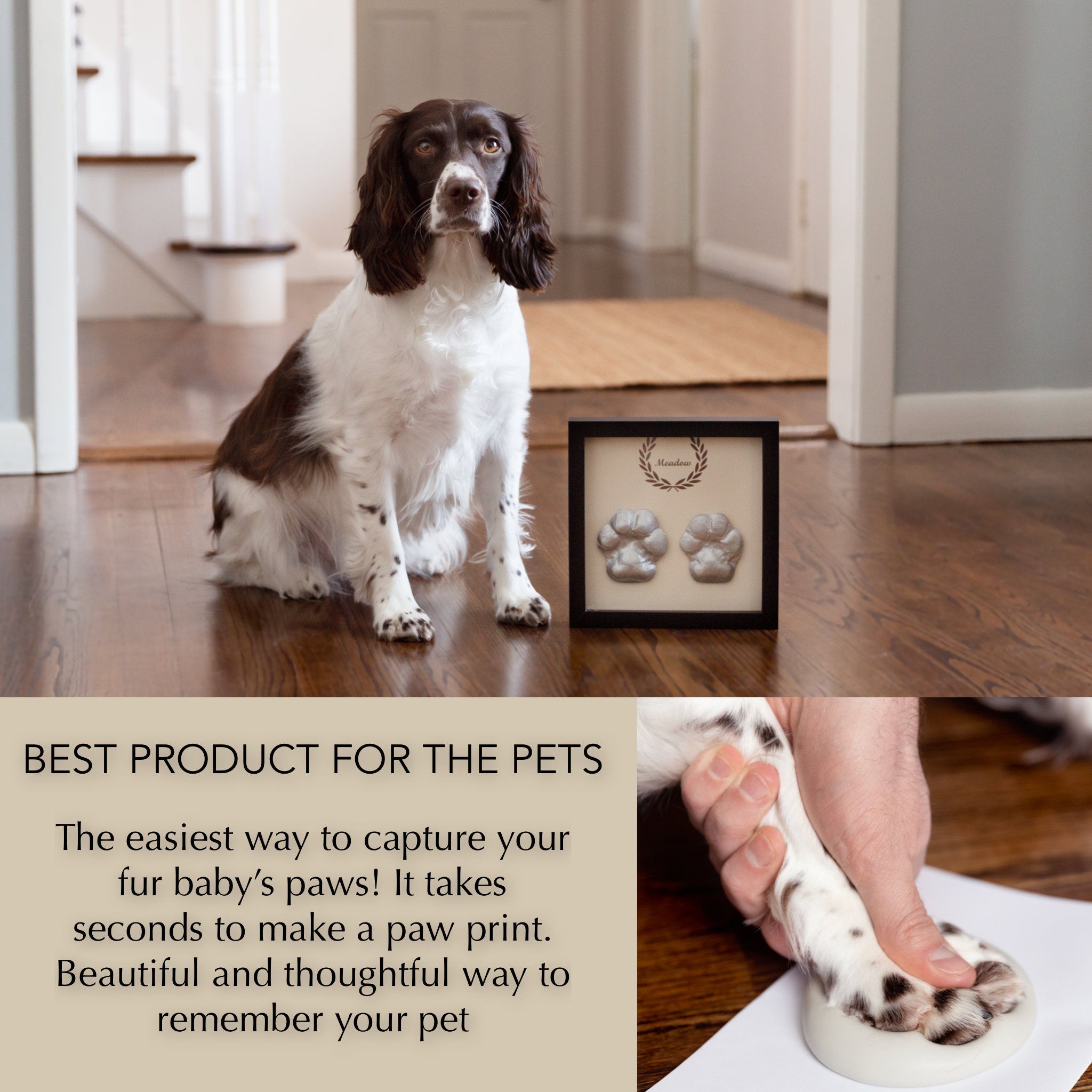 Kit d'empreintes de pattes de chien - Cadre photo commémoratif en forme d'os  de chien - Kit de moule à empreintes de pattes de chien sans encre - Sans  encre - Cadeau