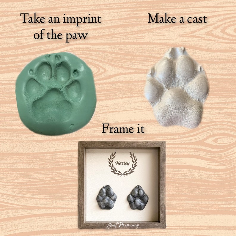 Pet casting paw cast paw print DIY casting kit Etsy