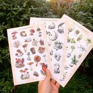 Sticker Kollektion | Set aus 3 Stickerbögen (60 einzelne Sticker!)