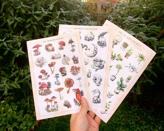 Sticker collection | Set of 3 sticker sheets (60 individual stickers!)