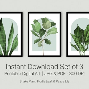 Set of 3 Prints Botanical Wall Art Digital - Plants Wall Art Prints Set of Three Prints Wall Art Painting Boho Wall Art, Botanical Print Set
