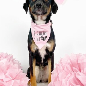 Valentine's Day Dog Collar Bandana