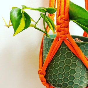 May include: A green hexagonal ceramic plant pot with a trailing plant, held by an orange macrame plant hanger. The plant has green and yellow leaves. The background is a plain white wall.