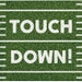 Football Napkins - Touchdown or Tutu Party Decor - Touchdown Napkins ...