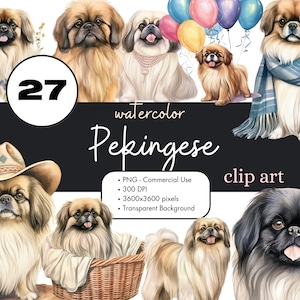 27 Pekingese Dogs Watercolor Clipart PNG Sublimation Bundle Commercial Use Graphics Pets Animal Cute Puppy Digital Scrapbooking Clip Art