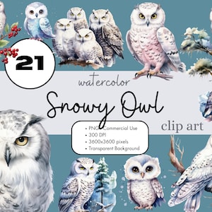 21 Harfang des neiges hiver magique aquarelle Clipart sublimation Bundle PNG utilisation commerciale graphiques couleurs pastel oiseau magique Clip Art