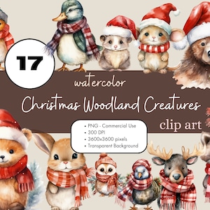 17 Animaux des bois Noël Aquarelle Clipart Sublimation Bundle PNG Utilisation commerciale Graphiques Créatures Renard Canard Ours Vacances Clip Art