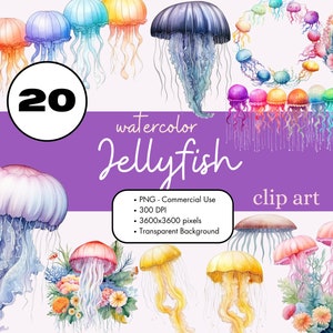 20 Jellyfish Watercolor Clipart PNG Sublimation Bundle Commercial Use Graphics Underwater Ocean Sea Creatures Sealife Digital Clip Art