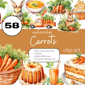 58 Cenouras Aquarela Clipart Sublimação Pacote PNG Uso Comercial Gráficos Convites Download Digital Comida Legumes Clipart